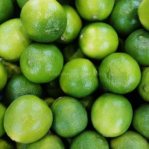 Qualité supérieure pour le citron vert frais, citron vert à 90 % de maturité, excellente qualité, fabriqué au Vietnam - Product Image 6