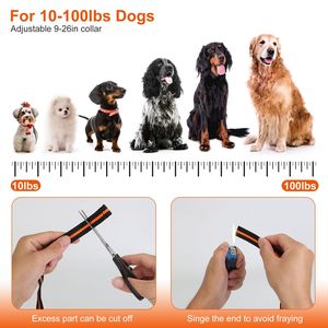 Collare Elettrico Ricaricabile per Addestramento Cani con Funzioni di Bip, Vibrazione e Shock - Accessori per Addestramento Animali - Product Image 6