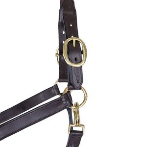 Produits phares : Bridon et licols pour chevaux en cuir, entièrement personnalisables, de qualité supérieure, pour sports équestres en plein air - Product Image 5