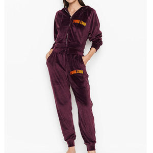 New Article <b>Women's</b> 2 Piece <b>Velvet</b> Hooded Sweatshirt Set Loose Fit Full Length Casual Wear All Seasons Solid Color - Product Image 4
