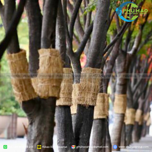Tapis de sedge d'origine vietnamienne, protection contre le gel, enveloppe en paille pour arbres et plantes de jardin - Product Image 2