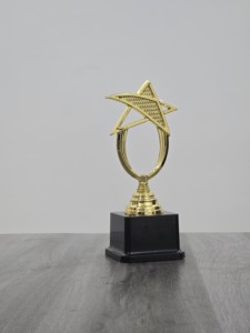 •Modern plastic <b>trophy</b> designed for academic achievements. - Product Image 5