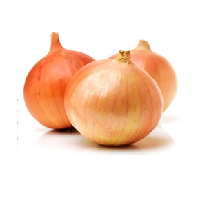 Cebollas Amarillas de Primera Calidad, Nueva Cosecha de Egipto, Cebollas Doradas Frescas, Precio Económico, Cebollas Amarillas Naturales y Saludables al por Mayor - Product Image 3