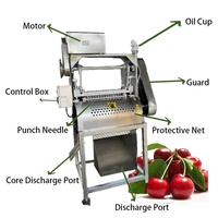 Geautomatiseerde voedselverwerkingsapparatuur GTQH-1 kersenontpitter voor groothandelsdistributie