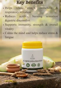 Produits à base de plantes Chamakkatt, poudre Chamakkatt Kushmanda Rasayana 500 g, certifiée ISO, complément alimentaire pour soutenir le système immunitaire - Product Image 3