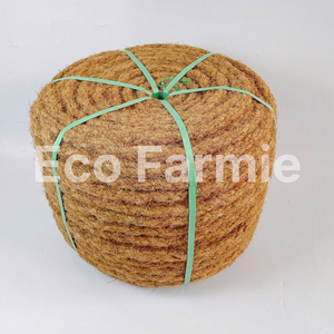 Cordes en fibre de coco torsadées, cordes en coco naturel épaisses, rouleaux de corde en coco au prix le plus bas, fil de coco durable - Product Image 3
