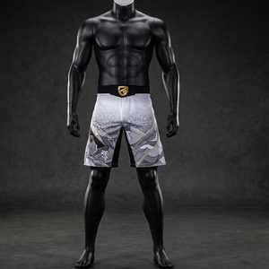 Premium Quality Plus Size 2026 Custom Design Muay Thai <b>Shorts</b> High Grade Mma Gym Boxing <b>Shorts</b> <b>For</b> <b>Men</b> - Product Image 2