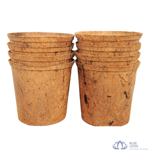 Pot de fleurs en fibre de coco biodégradable, style rustique minimaliste, carré, avec trou de drainage, pour plantes de jardin et d'extérieur - Product Image 1