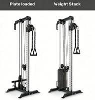 DW SPORTS Tour de musculation murale en métal avec pile de poids, système de câbles multifonctionnel pour salle de sport à domicile, équipement d'entraînement physique