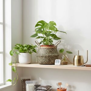 Cesta de Almacenamiento de Mimbre Tejido, Hecha a Mano, Ecológica, Duradera, Diseño Circular Moderno, Personalizable, Organizador Multifuncional - Product Image 5