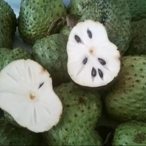 Pulpa de guanábana natural congelada IQF para la industria de bebidas, postres y helados - Product Image 1