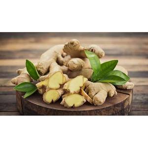 Baume au gingembre chauffant du Vietnam |   Baume à l'huile de gingembre pour les soins par temps froid - Product Image 3