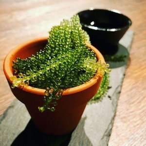 Raisins de mer déshydratés |   Algues de qualité supérieure du Vietnam pour l'exportation Ms.May - Product Image 2