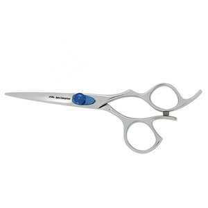 Tijeras Profesionales de Acero Inoxidable para Cortar y Peinar el Cabello en Color Plateado con Tornillo de Ajuste Azul, Tijeras de Peluquero Afiladas - Product Image 5