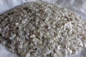 Écailles de poisson Best-seller 2026 Matière première naturelle pour la production de gélatine |   PRIX ABORDABLE ET QUALITÉ D'EXPORTATION - Product Image 3