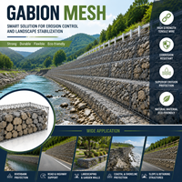 Malla de Gabión Premium en Rollo, Estructura de Alambre de Alta Resistencia para Aplicaciones de Ingeniería Civil
