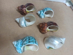 Anneau de serviette en coquillage de Vietnam poli, porte-serviettes, porte-anneau par snail & seashell pour protéger les linge de lit et améliorer l'esthétique de la table - Product Image 5