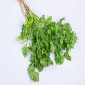 Semillas de Cilantro Enteras de Gujarat, India, Nueva Temporada, Calidad Premium Natural, Grado de Exportación, Ingrediente Alimenticio Internacional 12 - Product Image 2