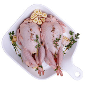 เนื้อนกกระทาแช่แข็งฮาลาลพรีเมียม สำหรับผู้ซื้อขายส่งและตลาดโลก - Product Image 5