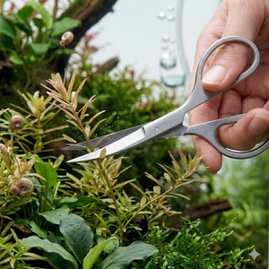 Ciseaux aquatiques de 6,5 pouces en acier inoxydable pour aquascaping, vente en gros d'usine - Product Image 1