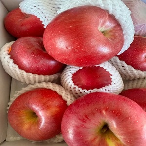 Manzanas Rojas Fuji Frescas al por Mayor, Nueva Cosecha 2026, Manzanas Frescas Royal <span class=keywords><strong>Gala</strong></span> y Red Delicious, Precio de Manzanas Frescas - Product Image 2