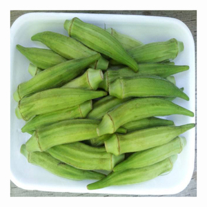 Fresh Frozen whole and sliced Okra <b>for</b> <b>sale</b> Lady Finger Organic Fresh Okra - Product Image 4