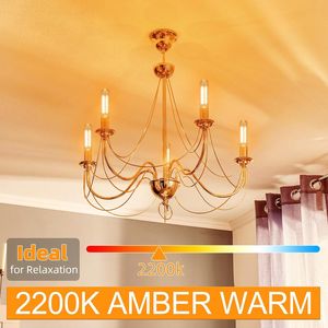 Lampadina LED Edison Dimmerabile 2200K Ambra Calda, 2W Equivalente a 25 Watt, Attacco E26, Stile Tubolare T10 per Lampadari - Product Image 4