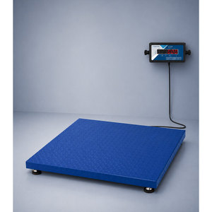 Accurex TX Tiger - Bilancia da pavimento pesante per pesatura industriale ad alta capacità - Product Image 1