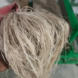 Premium Quality Natural Banana <b>Fiber</b> for Textile Manufacturing, Handloom Weaving & Sustainable Fabric Production - Product Image 6