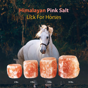 Bloques de Sal Rosa del Himalaya, Bloques de Sal Natural para Ganado, Caballos y Animales, Diseño Moderno para Sala de Estar y Comedor - Product Image 1