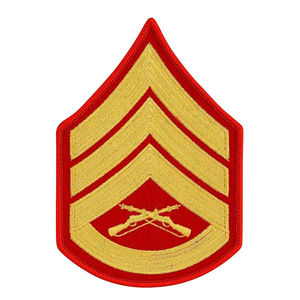 Insignia Profesional Chevron para Uniforme: Chevron de Mandato y Ejecución Coordinada, Chevron de Nominación, Chevron en Venta - Product Image 1