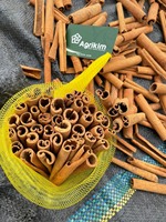Haute qualité cigare Cassia saveur épicée usine exportation directe prix de gros étiquetage privé prêt à expédier + 84 326055616