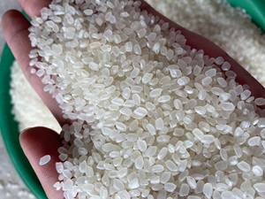 Riz Calrose de Haute Qualité en Vrac 5KG 10KG 25KG, 5% de Grains Cassés, Blanc, Grain Moyen, Dur, Disponible en Gros à Prix de Gros - Product Image 6