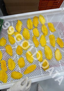 Golden Soft <b>Dried</b> <b>Mango</b> Slices Produced From Ripe <b>Mango</b> Fruit For Retail Distribution Vietnam Origin - Product Image 2