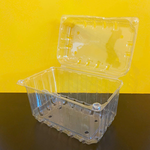 Échantillons gratuits Boîte rectangulaire jetable en PET pour emporter Emballage pour salade de fruits Emballage en plastique transparent Contenant pour fruits frais avec couvercle - Product Image 2