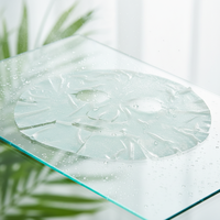 Masque en poudre chimique CO2 pour le visage, enrichi en Vitamine C et Aloe Vera, éclaircissant, blanchissant, anti-rides, nourrissant et hydratant pour le visage et le menton