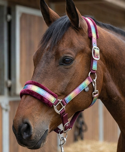 HM GLOBAL Harnais équestre pour cheval, en polaire durable de qualité supérieure, rembourré en nylon PP, réglable, avec boucles en acier, pour Cob et Cheval de taille haute, haute qualité - Product Image 6