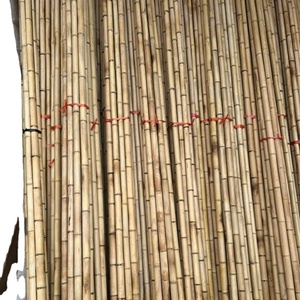 Natural Bamboo Pole Vietnam Origin Material For Construction Building Furniture <b>Frame</b> Outdoor Decoration And Landscaping Use - Product Image 1
