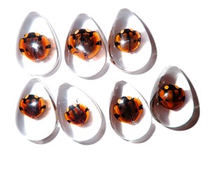 Cabochon Six Star Ladybird Beetle Pear Shape cut <b>top</b> 25x17 mm Clear Flat Bottom for Crafts and Jewelry Making - Product Image 4