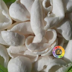 เนื้อมะพร้าวอ่อนแช่แข็งคุณภาพสูงราคาถูกจากเวียดนาม |   ส่งออกทั่วโลก - CARYLN - Product Image 5