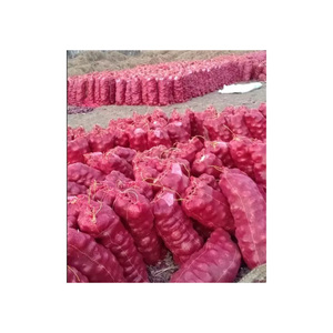 หัวหอมแดงสดคุณภาพพรีเมียม - Product Image 1
