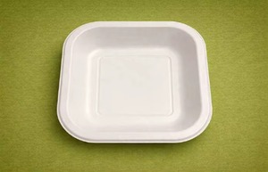 Axiom Greenex 6 Inch Square Paper Eco-Friendly Compostable Biodegradable Disposable Food <b>Tray</b> for Wedding Salad Picnic Travel - Product Image 5