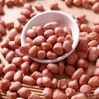 Arachides de qualité supérieure du Vietnam, blanchies, de haute qualité, brutes, pour en-cas et transformation alimentaire 2025