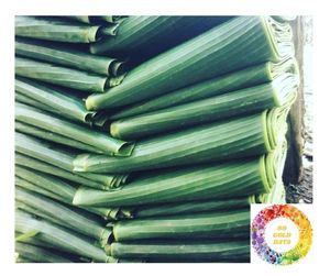 Feuilles de banane congelées de haute qualité, vertes et naturelles, pour l'emballage alimentaire, export en gros, feuilles de banane congelées - Product Image 2