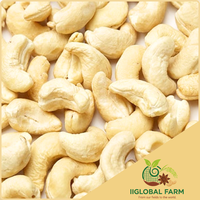 Biologische Gedroogde Geroosterde Cashewnoten Zout Bulk Premium Korrels Snack Vietnam IIGLOBAL FARM Topkwaliteit Voedsel 12-24 Maanden Houdbaarheid