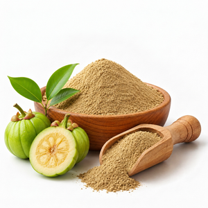 Poudre d'extrait végétal de Garcinia naturelle de haute qualité, fournisseur et exportateur en gros d'extraits de plantes botaniques - Product Image 1