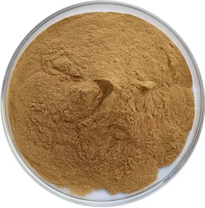 Poudre de Tongkat Ali 100% pure, qualité alimentaire, qualité export, poudre de Tongkat Ali naturelle à base de plantes, fabricant OEM, fournisseur en gros, Inde - Product Image 4