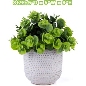 Simpatiche Piante Artificiali di Lysimachia, Fiori Finti e Vegetazione in Vaso di Ceramica per Decorazione Casa, Ufficio, Tavolo, Scrivania, Soggiorno - Product Image 5