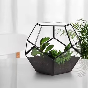 Terrarium en verre et métal design, élégant support de plantes d'intérieur, décoration géométrique pour la maison - Product Image 1