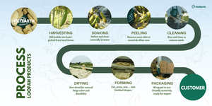 Esponja de Cocina Natural 100% Libre de Plástico, Compostable, Estropajo de Cocina, Esponja Vegetal, Estropajo para Lavar Platos - Product Image 6